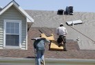 Totnessskylights-2.jpg; ?>